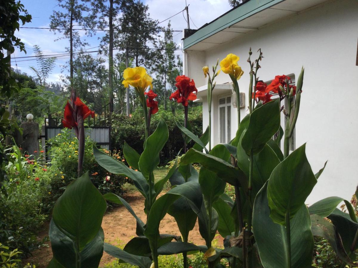 Ella Relax Inn ภายนอก รูปภาพ