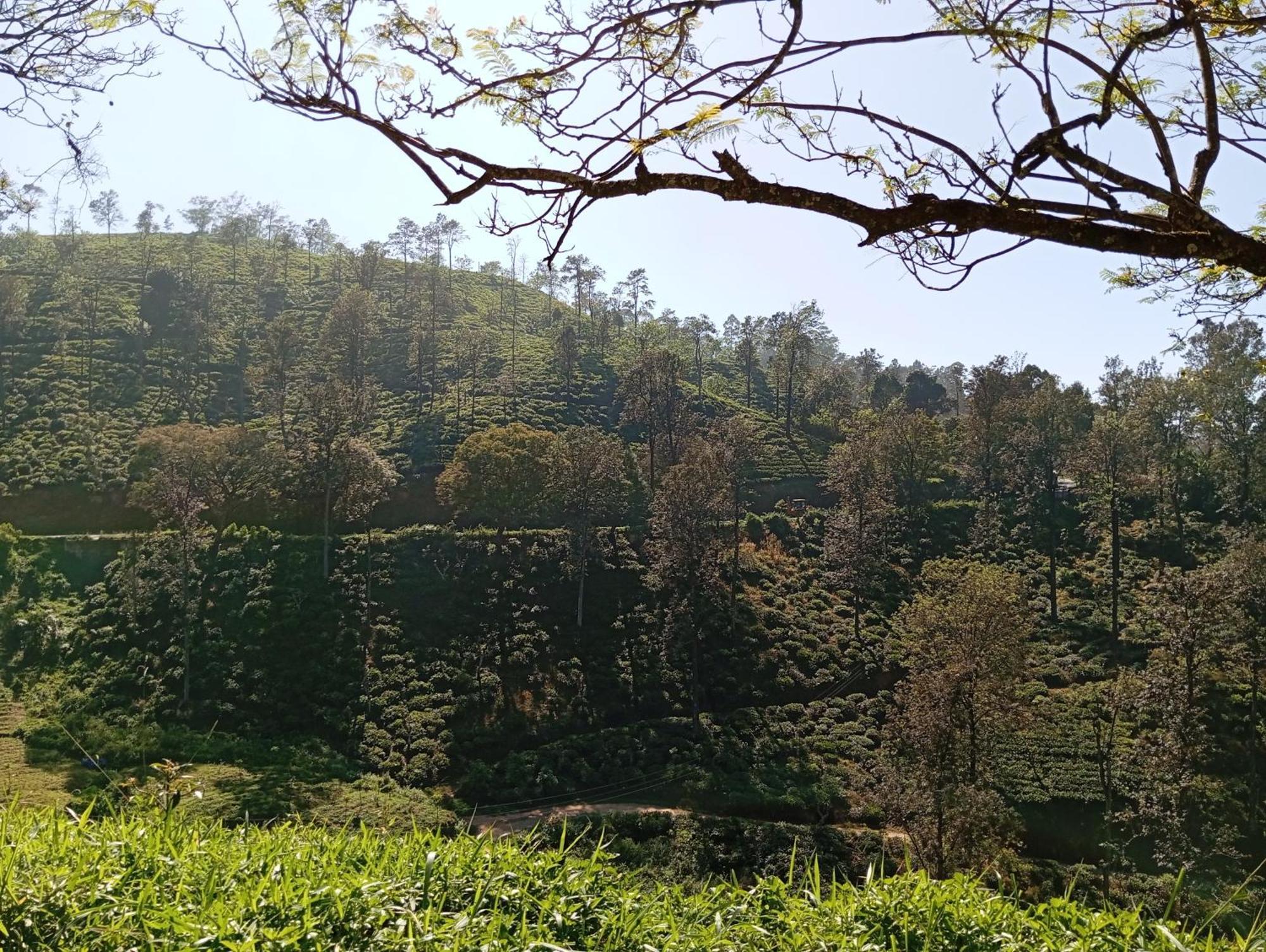 Ella Relax Inn ภายนอก รูปภาพ