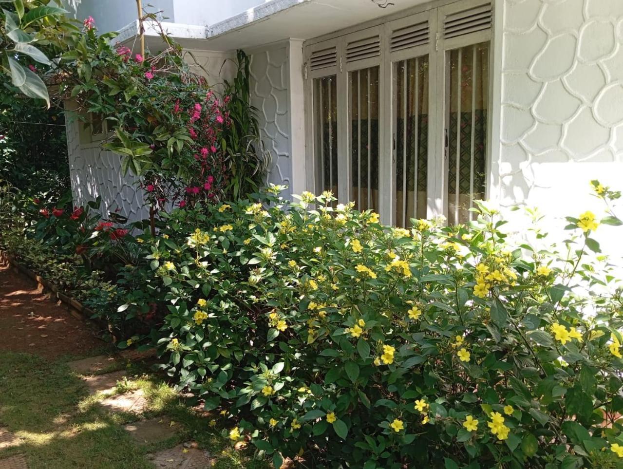 Ella Relax Inn ภายนอก รูปภาพ
